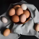 Основной производитель куриного яйца на Чукотке расширит производство в 1,5 раза