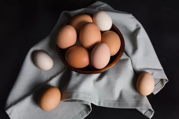 На Чукотке рассказали об уровне самообеспечения куриным яйцом