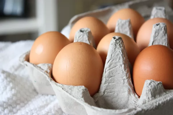 Более чем на треть увеличили производство куриного яйца на Чукотке с начала года